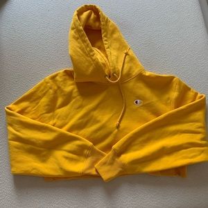 Champion cropped hoodie